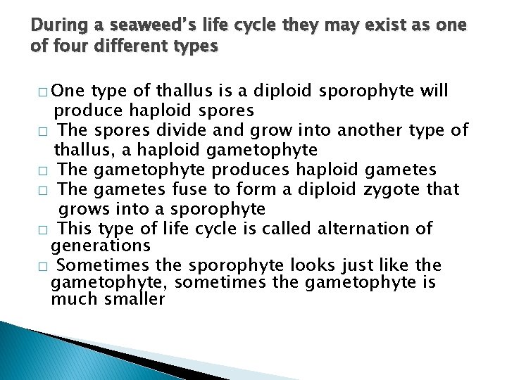 During a seaweed’s life cycle they may exist as one of four different types