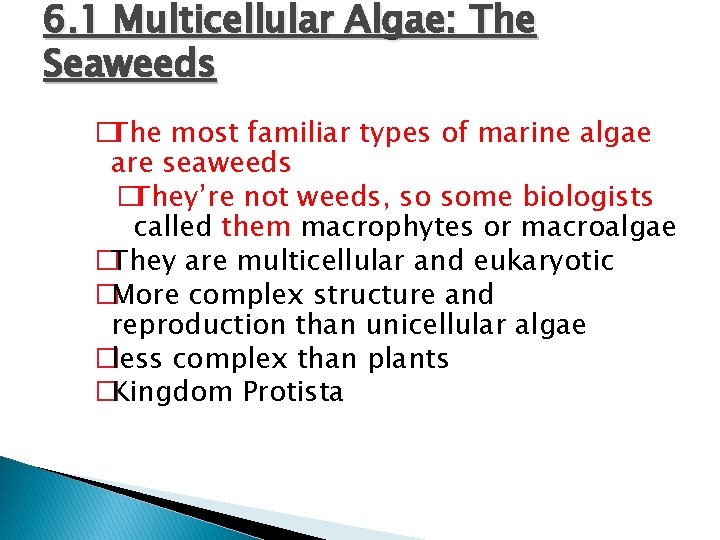 6. 1 Multicellular Algae: The Seaweeds �The most familiar types of marine algae are