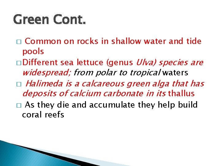 Green Cont. Common on rocks in shallow water and tide pools � Different sea