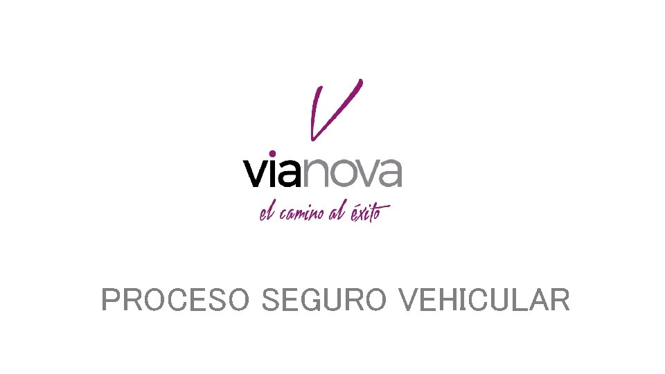 PROCESO SEGURO VEHICULAR 