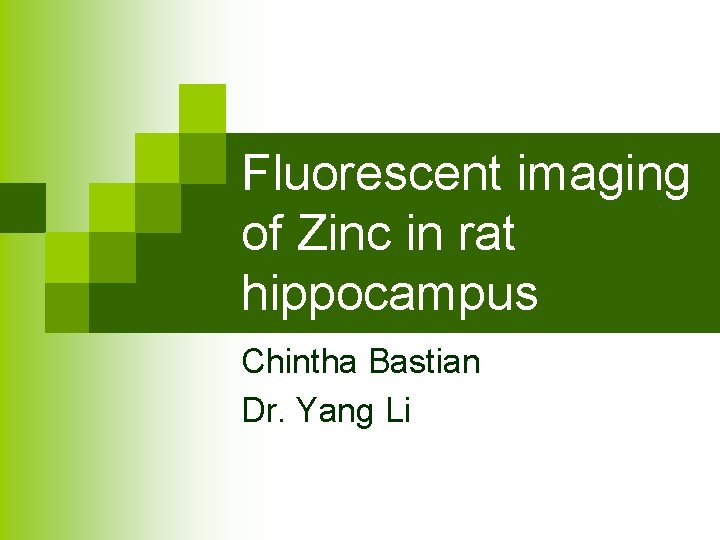 Fluorescent imaging of Zinc in rat hippocampus Chintha Bastian Dr. Yang Li 