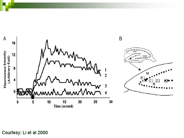 Courtesy: Li et al 2000 