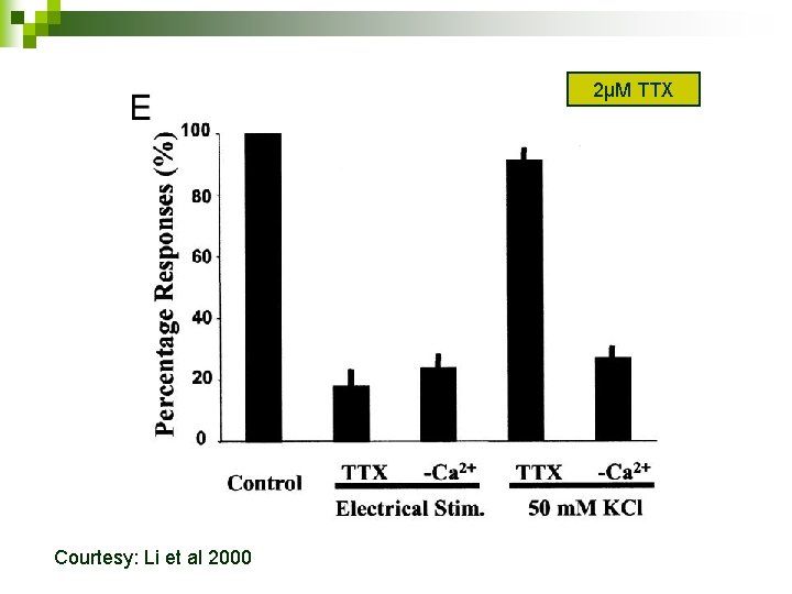 2µM TTX Courtesy: Li et al 2000 