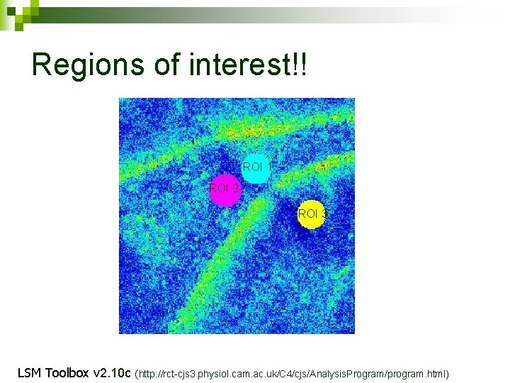 Regions of interest!! ROI 1 ROI 2 ROI 3 LSM Toolbox v 2. 10