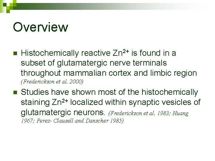 Overview n Histochemically reactive Zn 2+ is found in a subset of glutamatergic nerve