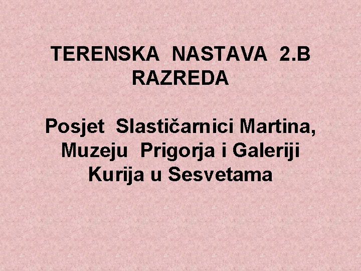 TERENSKA NASTAVA 2. B RAZREDA Posjet Slastičarnici Martina, Muzeju Prigorja i Galeriji Kurija u