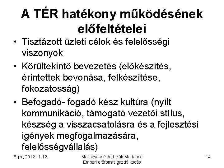 A TÉR hatékony működésének előfeltételei • Tisztázott üzleti célok és felelősségi viszonyok • Körültekintő