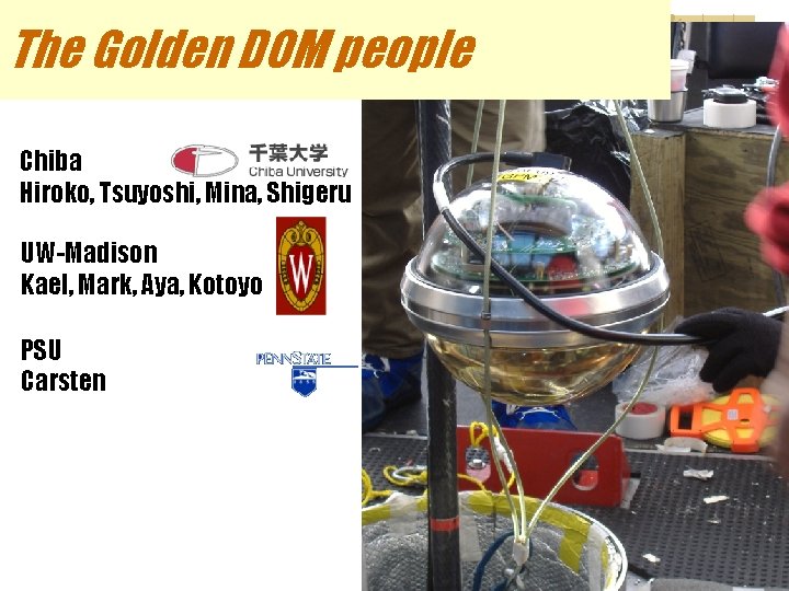 The Golden DOM people Chiba Hiroko, Tsuyoshi, Mina, Shigeru UW-Madison Kael, Mark, Aya, Kotoyo
