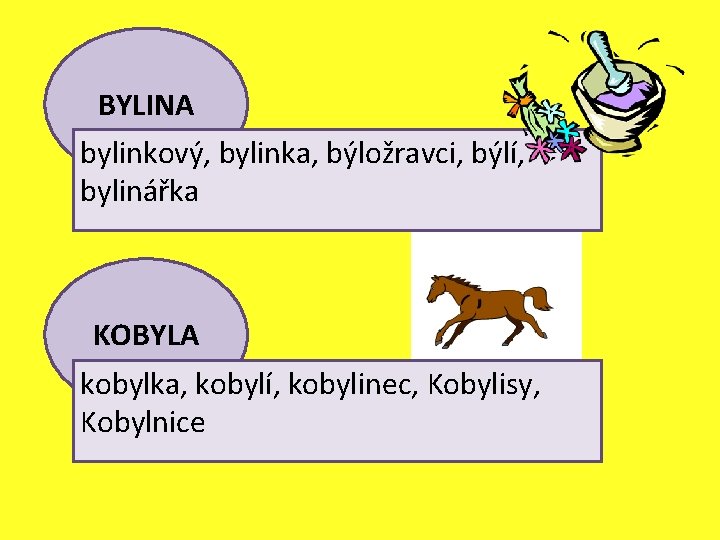 BYLINA bylinkový, bylinka, býložravci, býlí, bylinářka KOBYLA kobylka, kobylí, kobylinec, Kobylisy, Kobylnice 