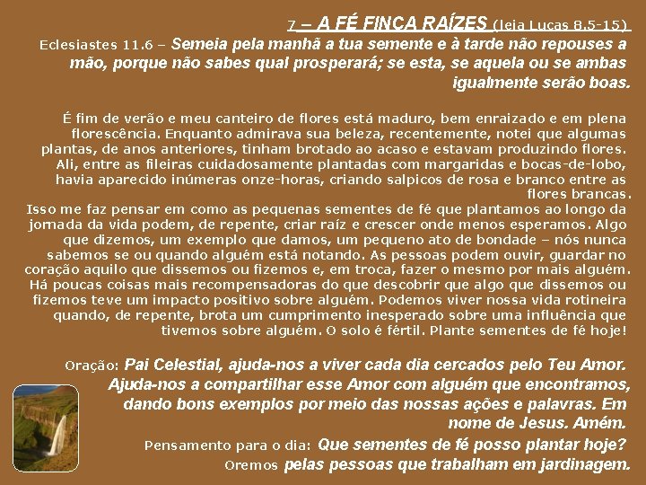 7 – A FÉ FINCA RAÍZES (leia Lucas 8. 5 -15) Semeia pela manhã