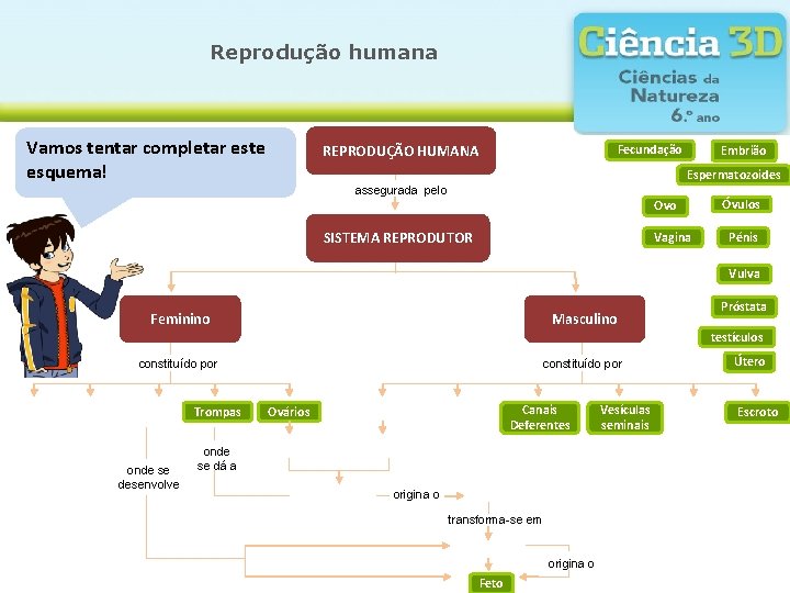 Reprodução humana Vamos tentar completar este esquema! REPRODUÇÃO HUMANA Fecundação Embrião Espermatozoides assegurada pelo