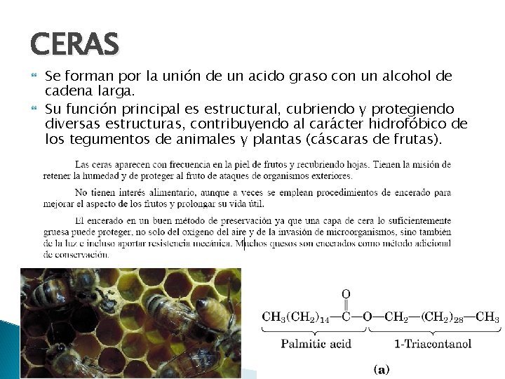 CERAS Se forman por la unión de un acido graso con un alcohol de