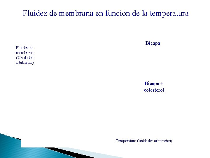 Fluidez de membrana en función de la temperatura Fluidez de membrana (Unidades arbitrarias) Bicapa