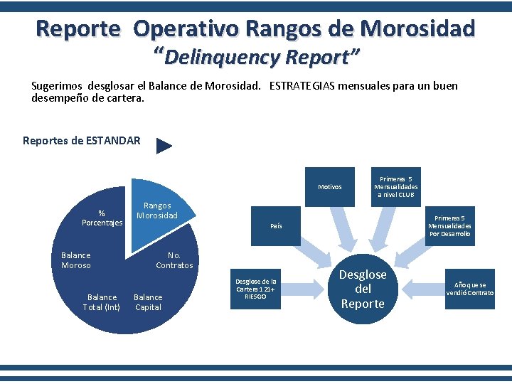 Reporte Operativo Rangos de Morosidad “Delinquency Report” Sugerimos desglosar el Balance de Morosidad. ESTRATEGIAS