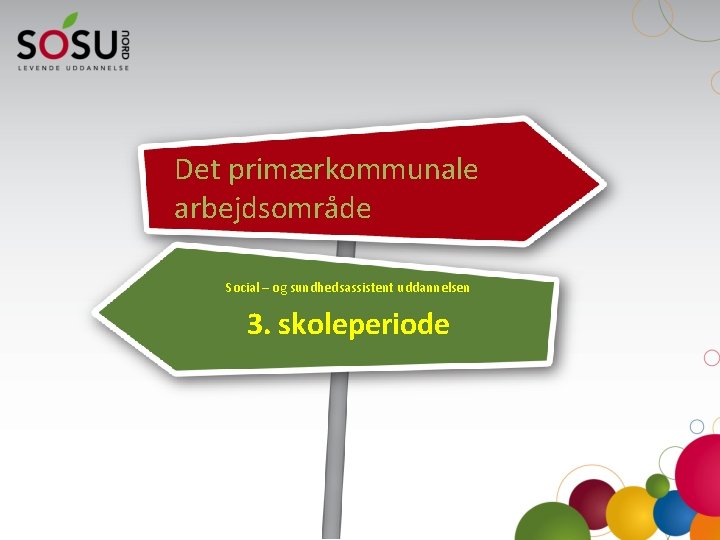 Det primærkommunale arbejdsområde Social – og sundhedsassistent uddannelsen 3. skoleperiode 