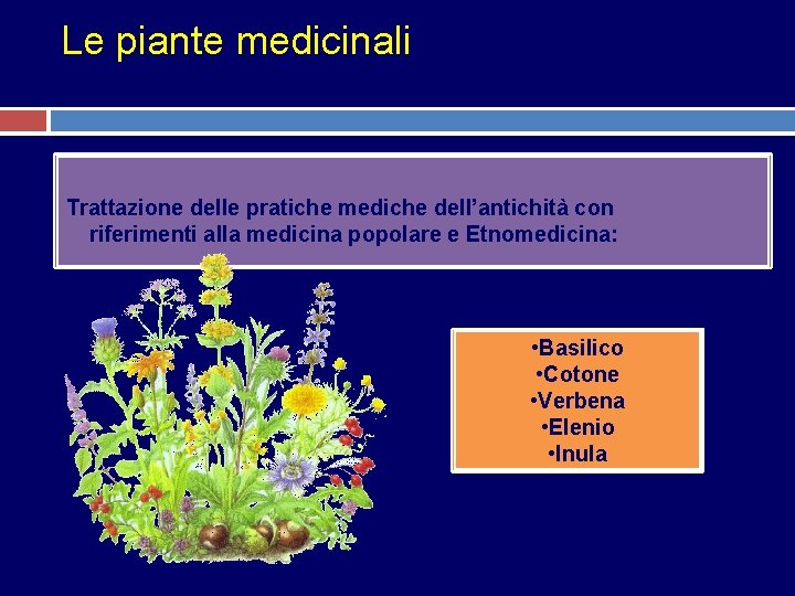 Le piante medicinali Trattazione delle pratiche mediche dell’antichità con riferimenti alla medicina popolare e