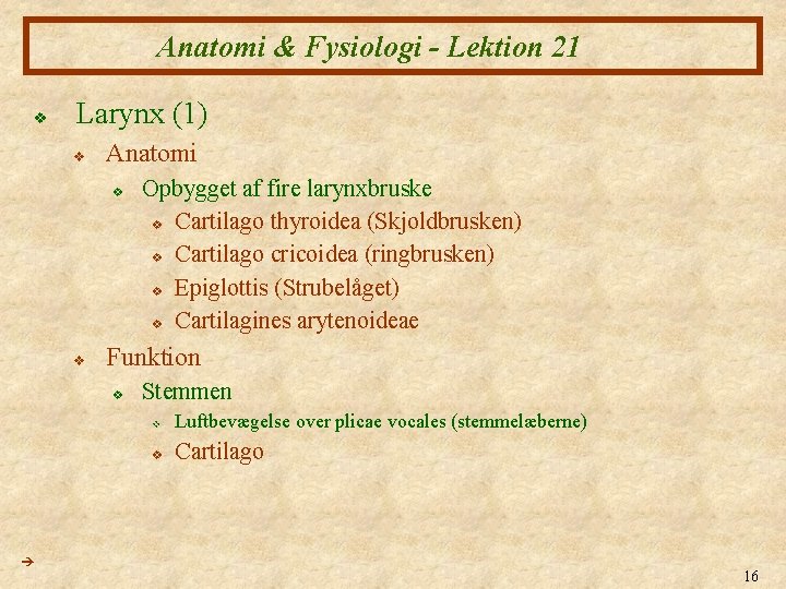 Anatomi & Fysiologi - Lektion 21 v Larynx (1) v Anatomi v v Funktion