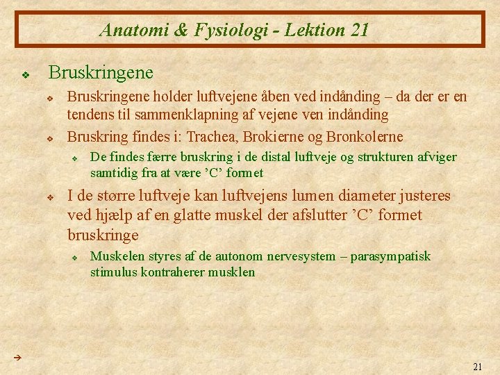 Anatomi & Fysiologi - Lektion 21 v Bruskringene v v Bruskringene holder luftvejene åben