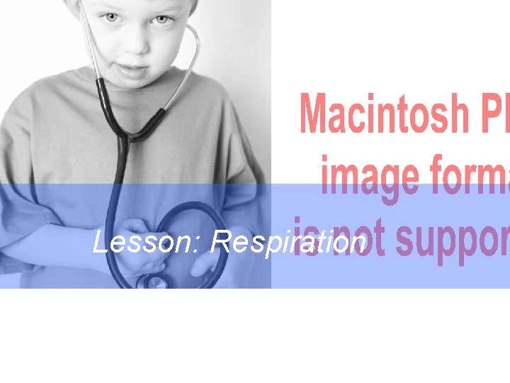 Lesson: Respiration Lesson: Respiration