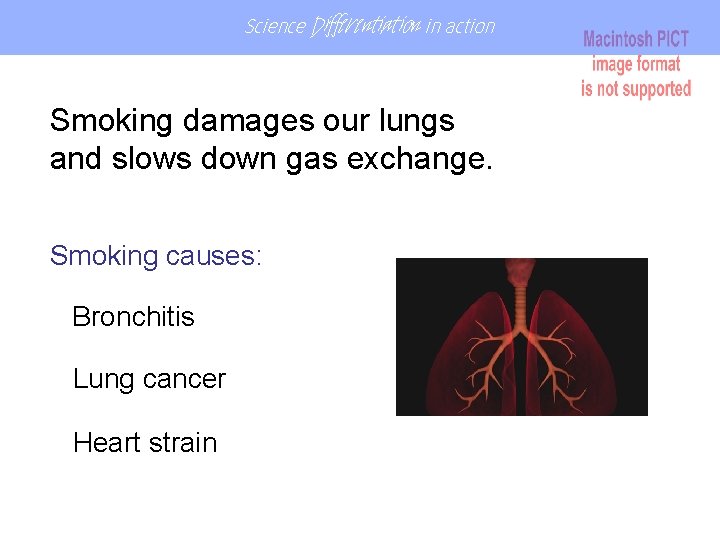 Science Differentiation in action Smoking damages our lungs and slows down gas exchange. Smoking Science Differentiation in action Smoking damages our lungs and slows down gas exchange. Smoking