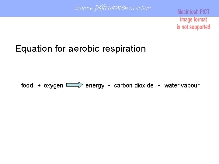 Science Differentiation in action Equation for aerobic respiration food + oxygen energy + carbon Science Differentiation in action Equation for aerobic respiration food + oxygen energy + carbon