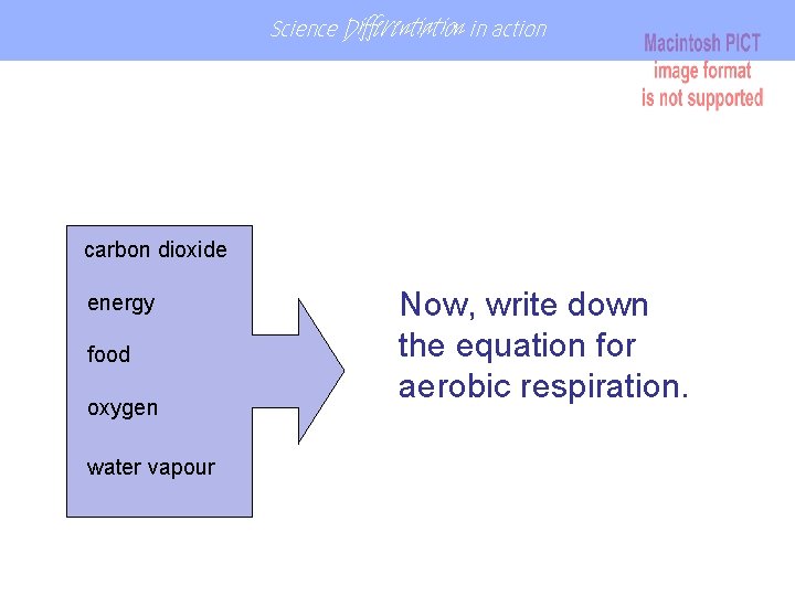 Science Differentiation in action carbon dioxide energy food oxygen water vapour Now, write down Science Differentiation in action carbon dioxide energy food oxygen water vapour Now, write down
