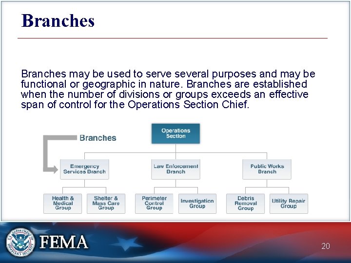 Branches may be used to serve several purposes and may be functional or geographic
