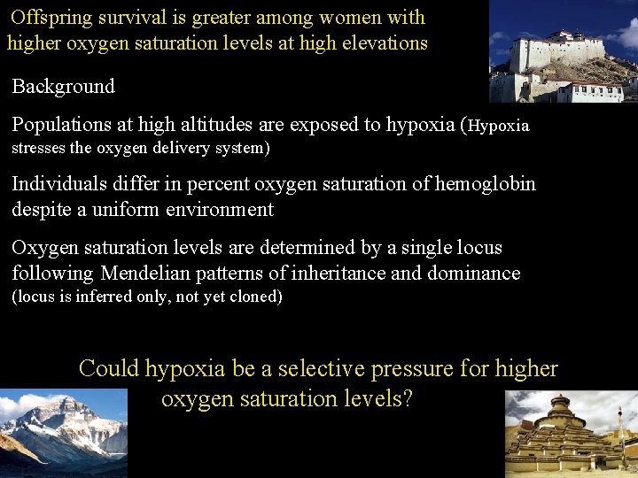 Offspring survival is greater among women with higher oxygen saturation levels at high elevations