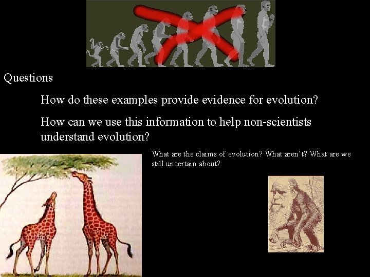 Questions How do these examples provide evidence for evolution? How can we use this