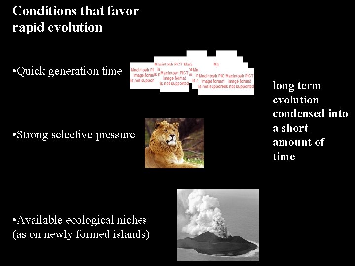 Conditions that favor rapid evolution • Quick generation time • Strong selective pressure • Conditions that favor rapid evolution • Quick generation time • Strong selective pressure •