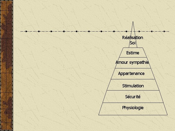 Réalisation Soi Estime Amour sympathie Appartenance Stimulation Sécurité Physiologie 