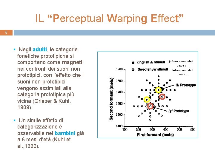 IL “Perceptual Warping Effect” 5 § Negli adulti, le categorie fonetiche prototipiche si comportano