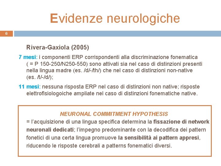 Evidenze neurologiche 6 Rivera-Gaxiola (2005) 7 mesi: i componenti ERP corrispondenti alla discriminazione fonematica