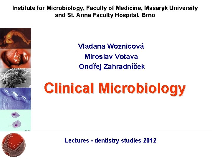 Institute for Microbiology, Faculty of Medicine, Masaryk University and St. Anna Faculty Hospital, Brno