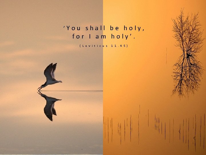 ‘ You shall be holy, for I am holy’. ( L e v i