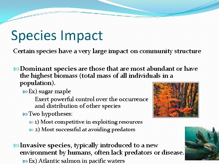 Species Impact Certain species have a very large impact on community structure Dominant species