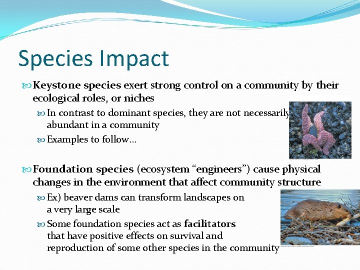 Species Impact Keystone species exert strong control on a community by their ecological roles,