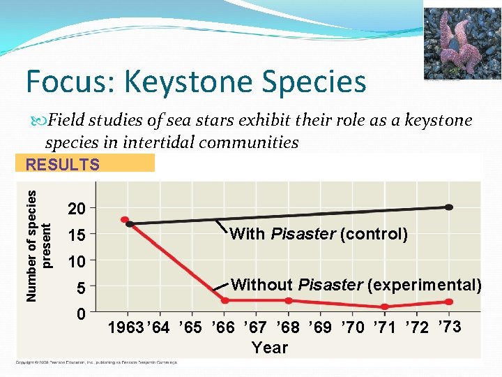 Focus: Keystone Species Field studies of sea stars exhibit their role as a keystone