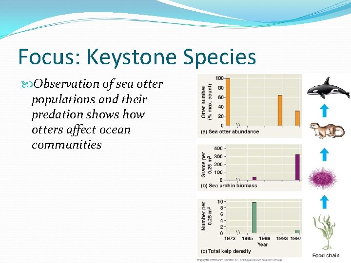 Focus: Keystone Species Observation of sea otter populations and their predation shows how otters