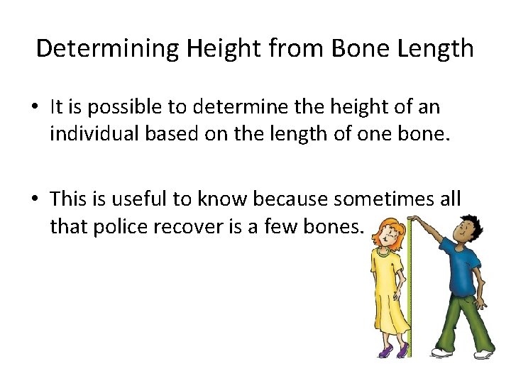 Determining Height from Bone Length • It is possible to determine the height of
