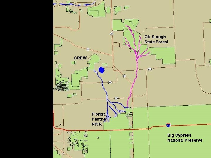 OK Slough State Forest CREW Florida Panther NWR Big Cypress National Preserve OK Slough State Forest CREW Florida Panther NWR Big Cypress National Preserve