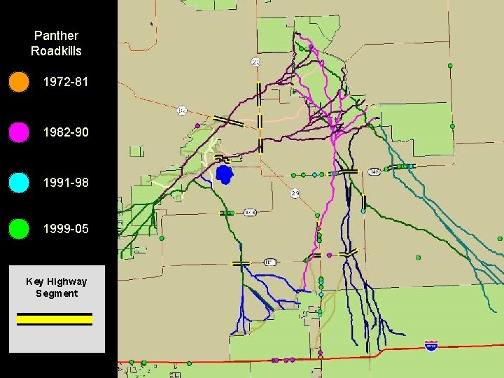 Panther Roadkills 1972 -81 1982 -90 1991 -98 1999 -05 Key Highway Segment 
