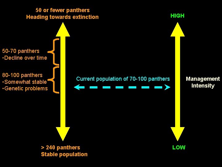 50 or fewer panthers Heading towards extinction HIGH 50 -70 panthers • Decline over