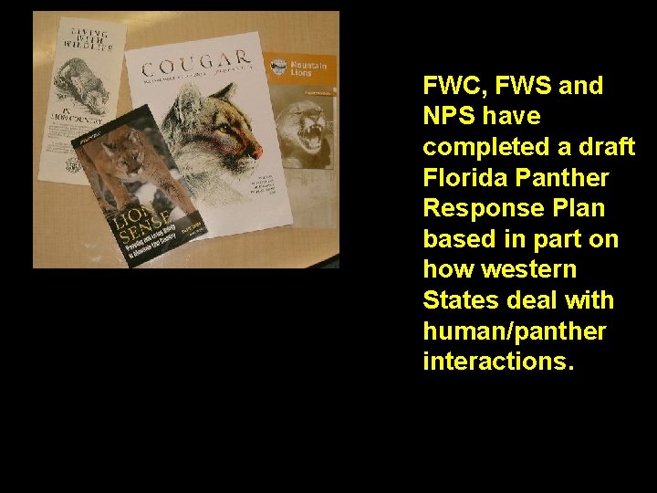 FWC, FWS and NPS have completed a draft Florida Panther Response Plan based in