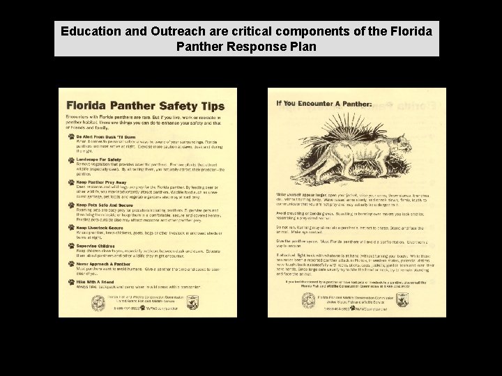 Education and Outreach are critical components of the Florida Panther Response Plan 