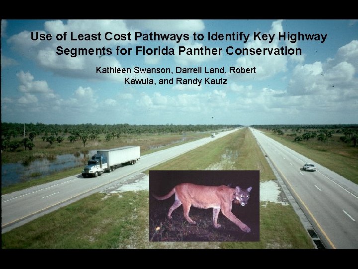 Use of Least Cost Pathways to Identify Key Highway Segments for Florida Panther Conservation