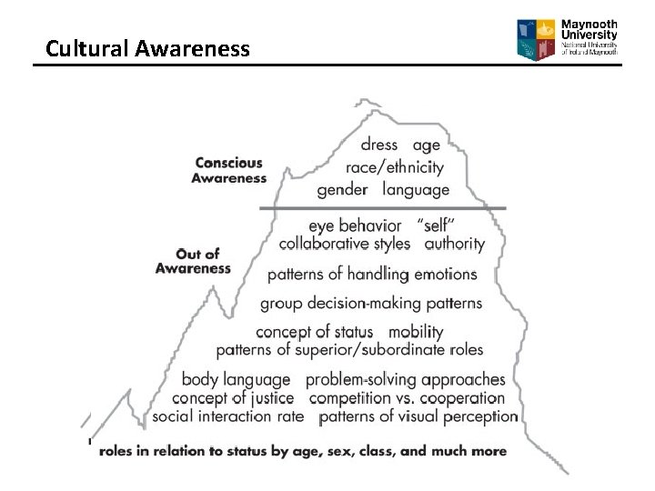 Cultural Awareness 