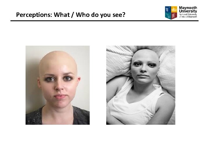 Perceptions: What / Who do you see? 