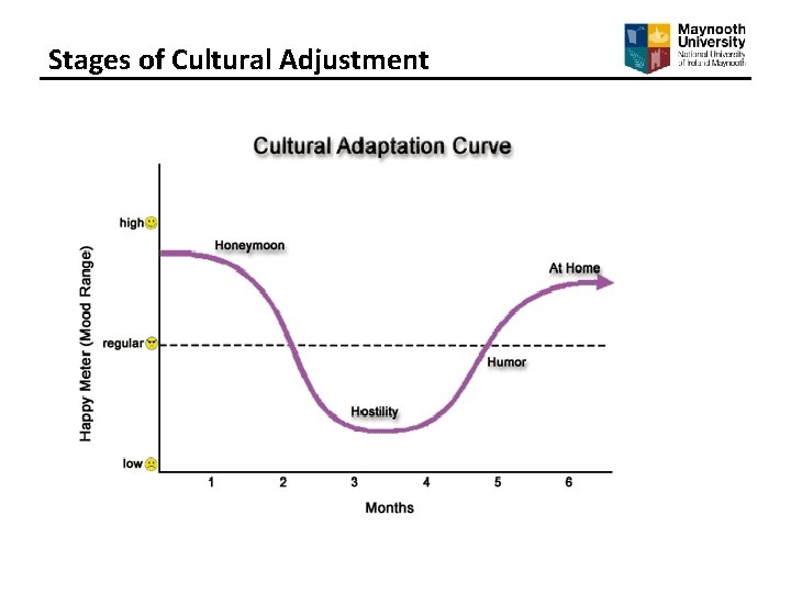 Stages of Cultural Adjustment 