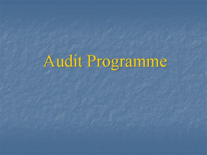 Audit Programme 